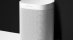 语音交互